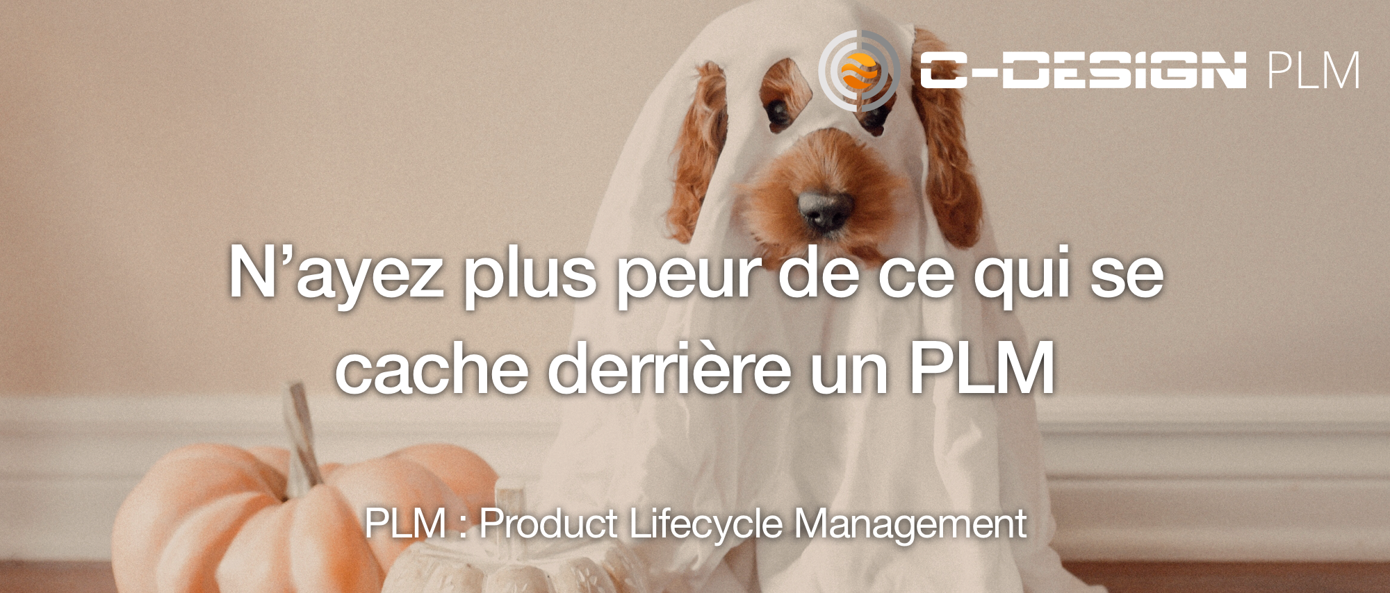 n'ayez plus peur du PLM