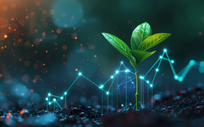 Traçabilité produit mode : comment CDESIGN PLM accompagne les marques vers plus de transparence